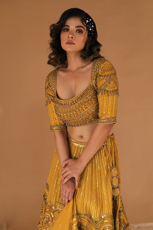 FLAVIA : Mustard Hand Embroidered Lehenga with Heavy Blouse and Dupatta